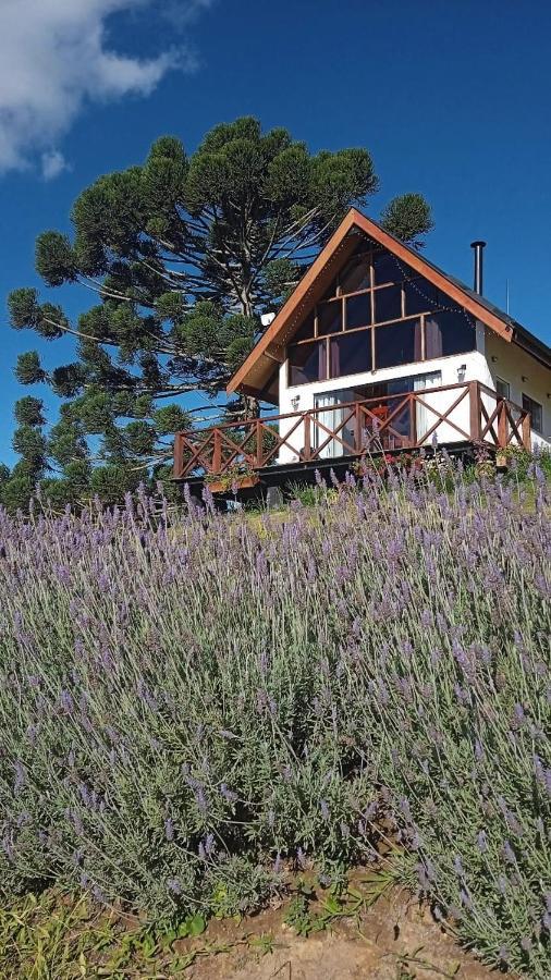 Chalet Chale Com Vidros E Hidromassagem *